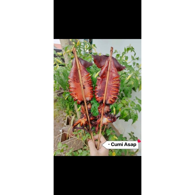 

Cumi cumi Asapan UK tanggung