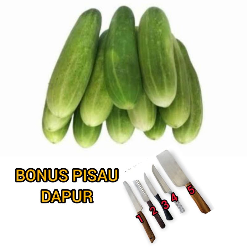 

promo timun lalap segar Grade A