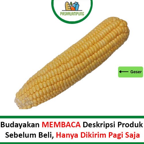 

Jagung Manis Sayur Segar Per Pcs Pasar Lampung