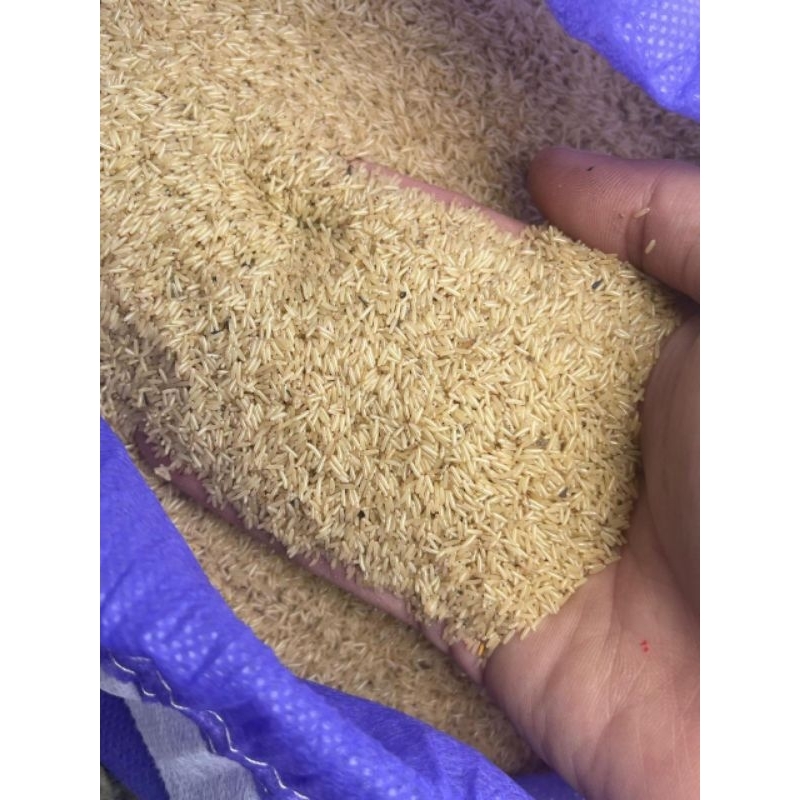 TELUR JANGKRIK MADU KUNYIT 500 GRAM