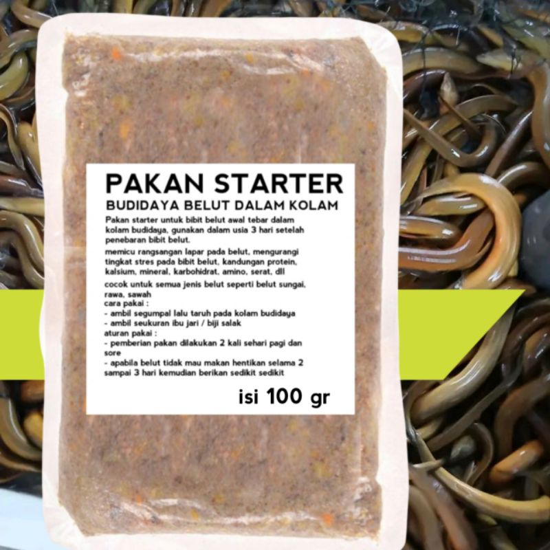 pakan starter belut ternak