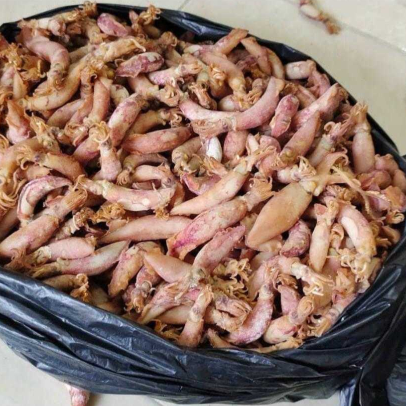 

Cumi Asin | Uk. 5cm up | 1dus isi 10kg