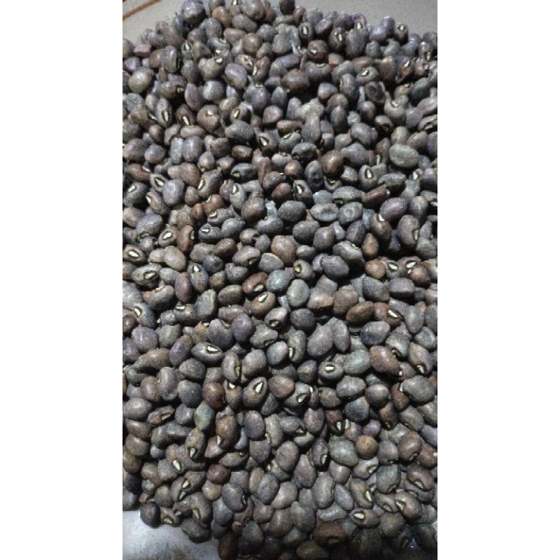 

kacang lento/worek 500gr