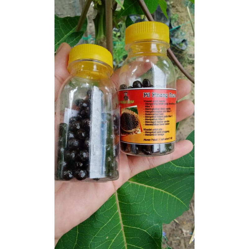 

jamu pil pinang anum (ramuan dayak) ori