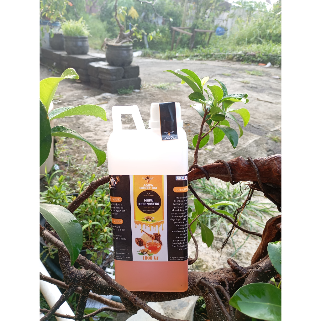 

Madu Kelengkeng | Madu Murni 100% | Agifa Honey GM