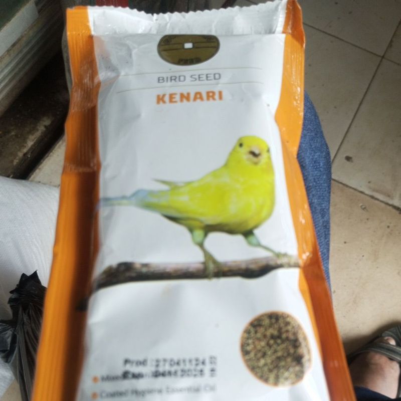 Gold coin kenari 250 gr