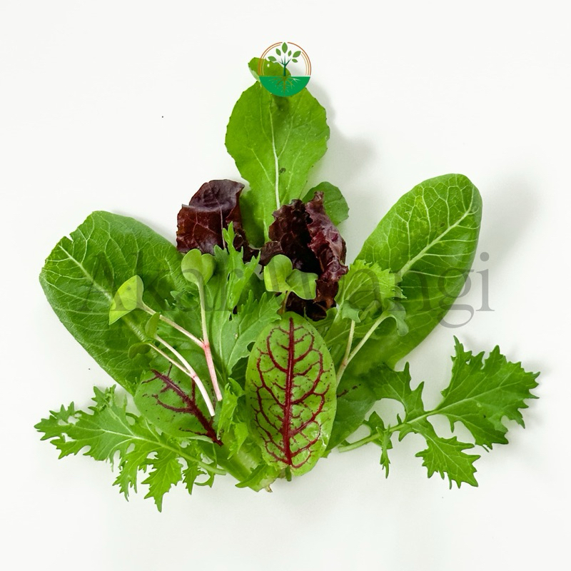 

Baby Vegetables Baby Mesclun Akar Wangi