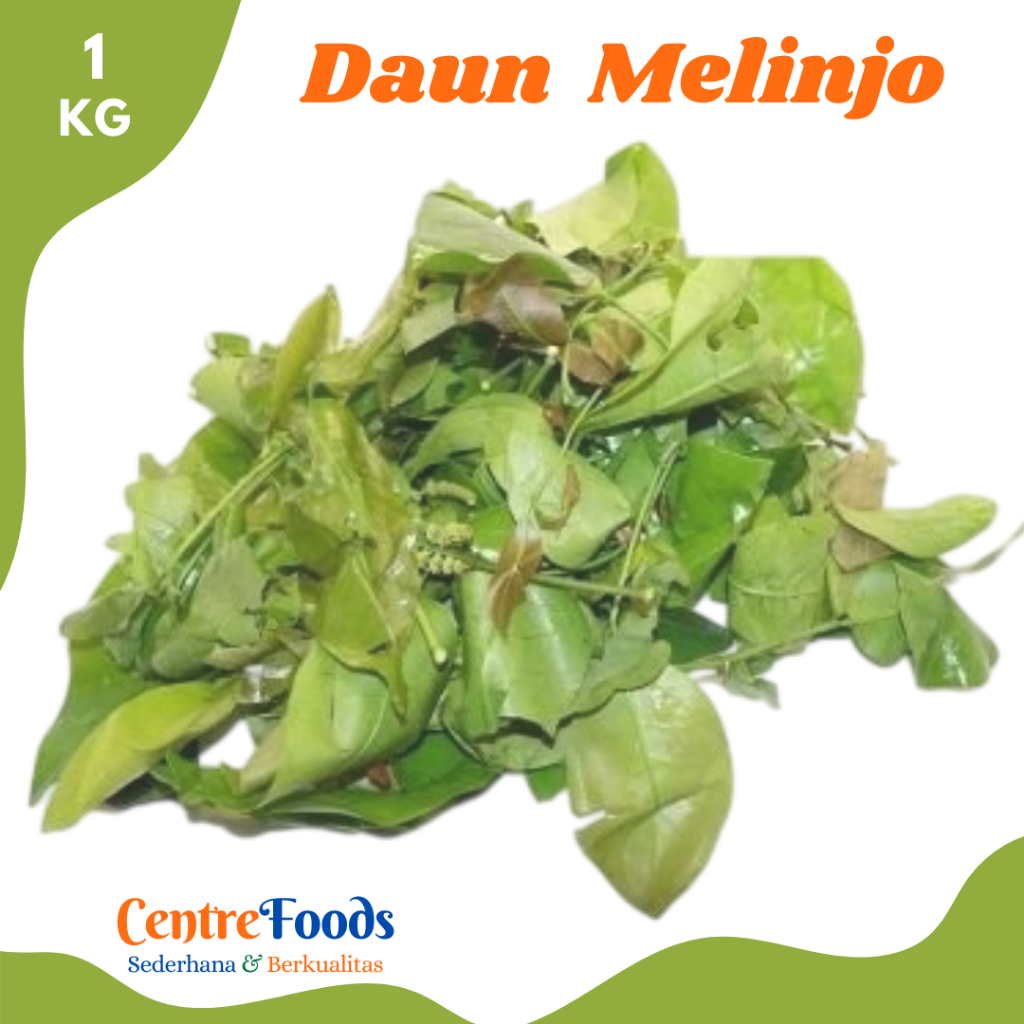 

DAUN Melinjo - Daun Tangkil Fresh | 1.000gr [ Harga Per KG ]