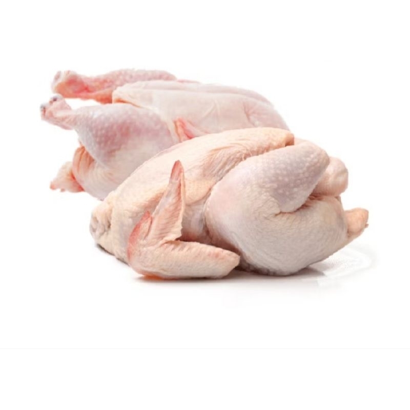 

AYAM KARAKAS BOILER 09-1kg