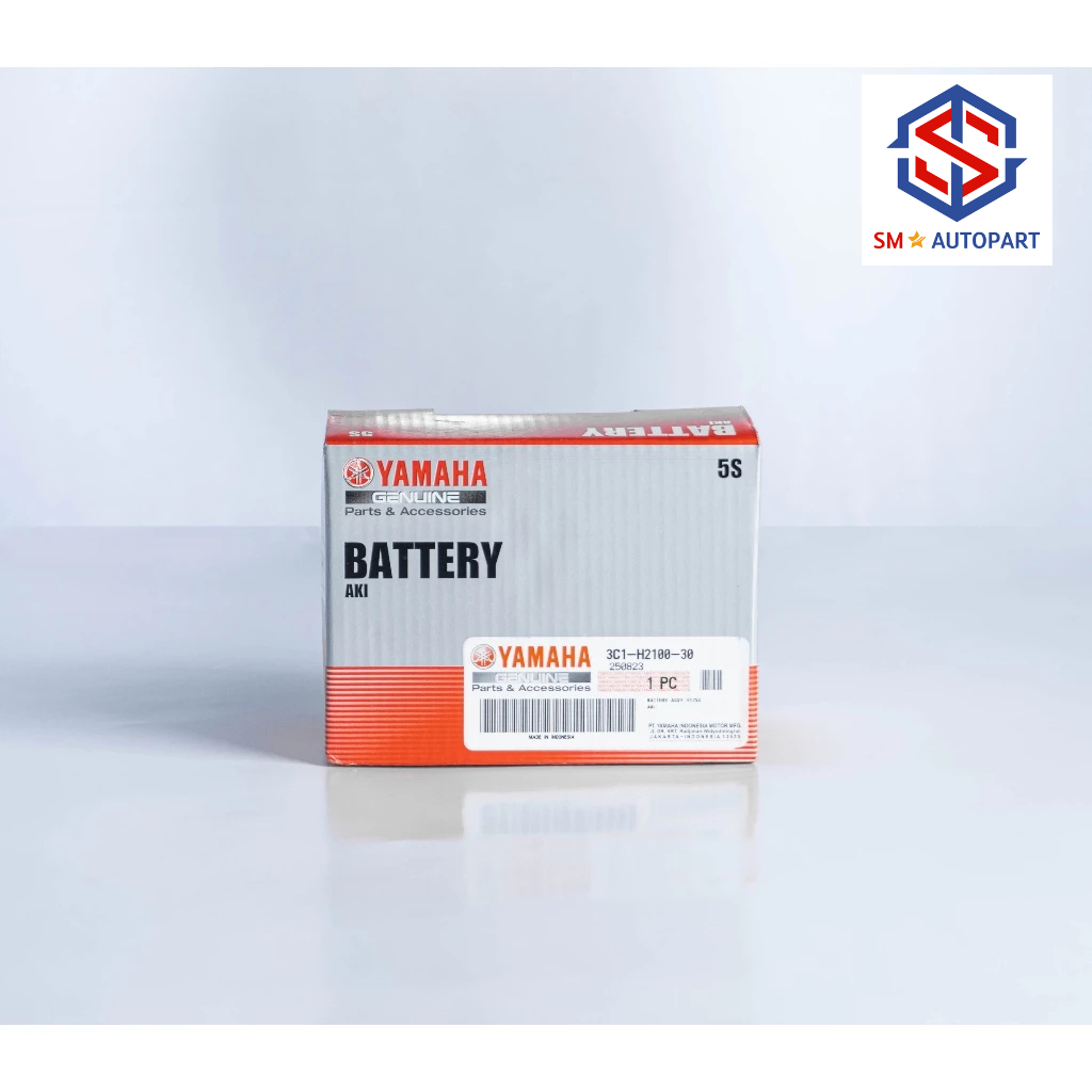 3C1-H2100-30 Aki Motor Yamaha YTZ5S Original