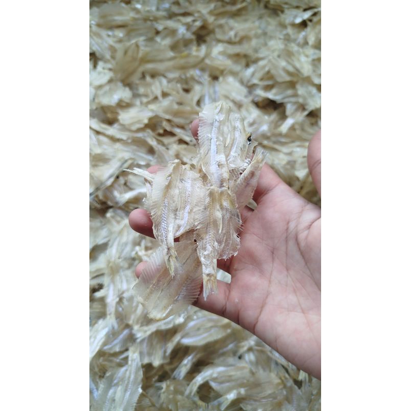 

IKAN ASIN KALAPAN/PAKANG/PAKKANG/TERASAK/TRASAK