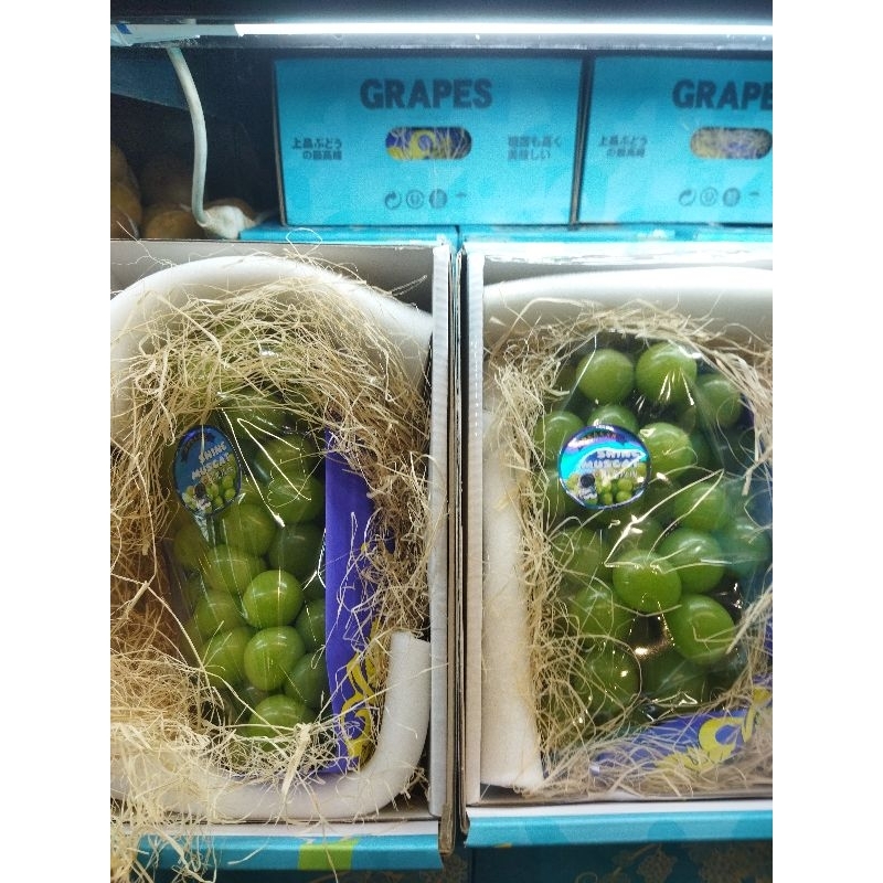 

Anggur shine muscat rrc gif box