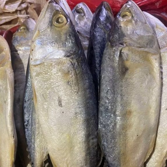 

Ikan Asin Pedak Putih 100gr, 250gr 500gr