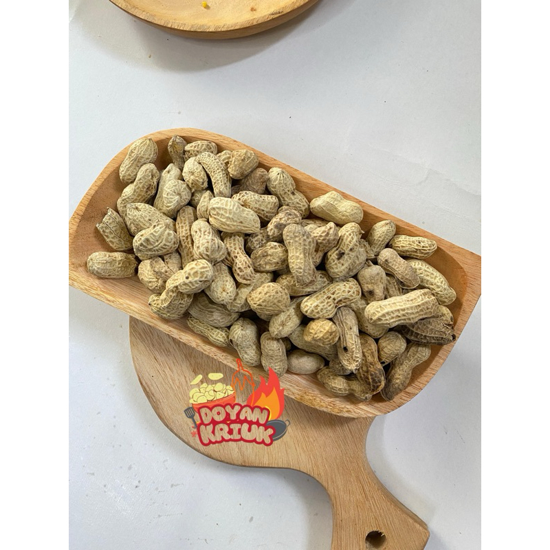 

Kacang kulit oven kacang kletik