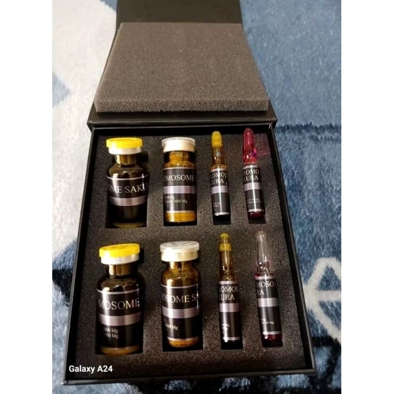 chromosome sakura japan || Ecer perset || sakura chromosome