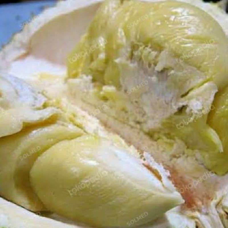 

Duren kupas balai karangan pontianak 1kg/ durian kupas balai karangan pontianak 1kg
