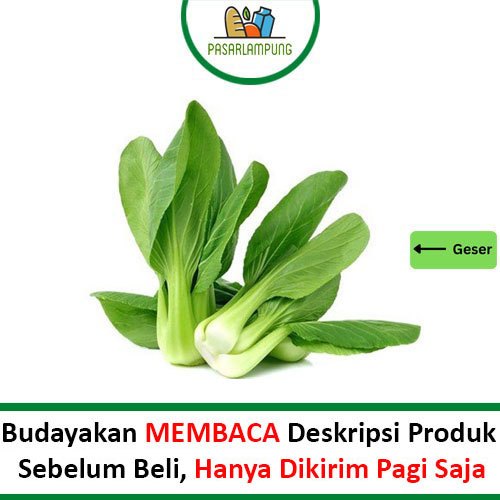

Pakcoy Biasa Perbungkus Pasar Lampung