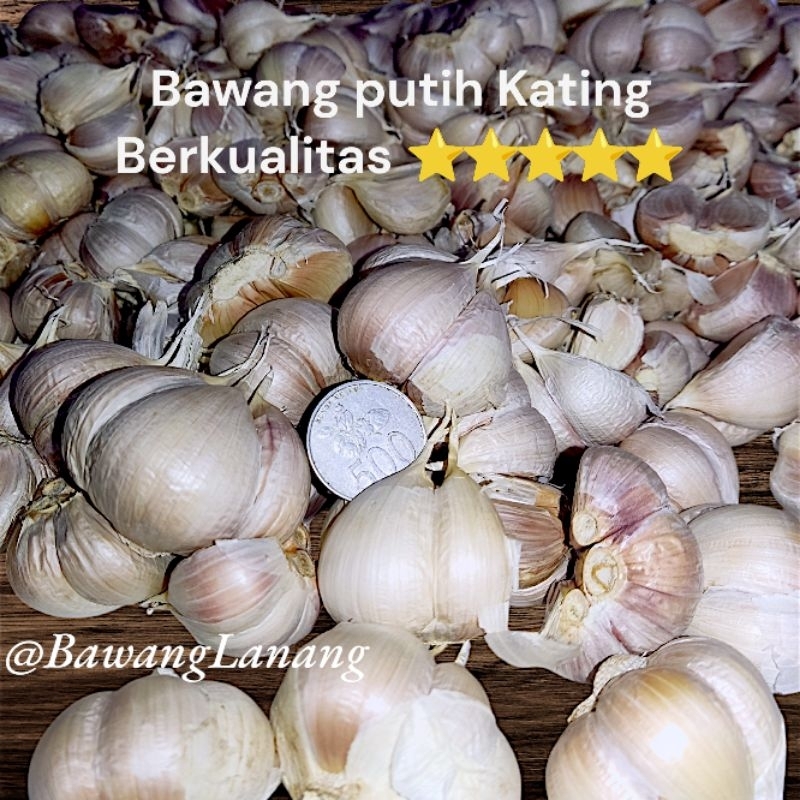 

Bawang Putih Kating Kering Wangi Bersih 100gr Segar Tidak busuk