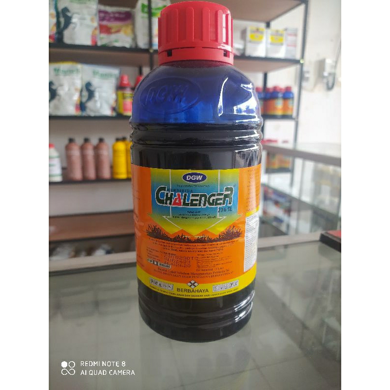 DGW Chalenger 276 SL