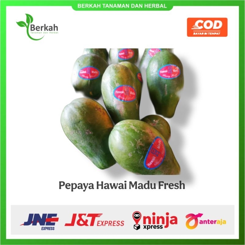 Pepaya Hawai Madu Manis
