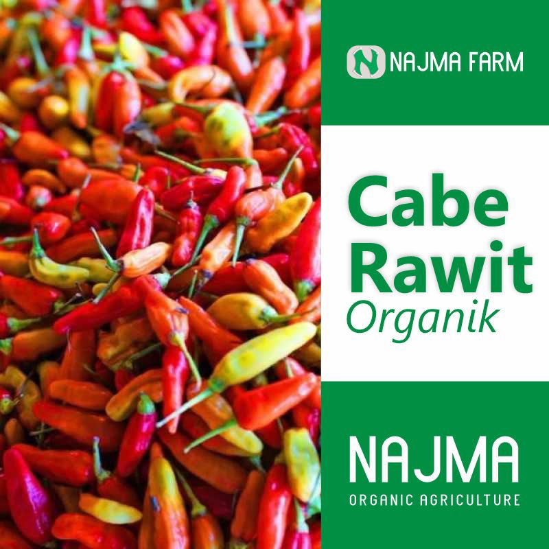 

Cabe Rawit Organik 150 gram