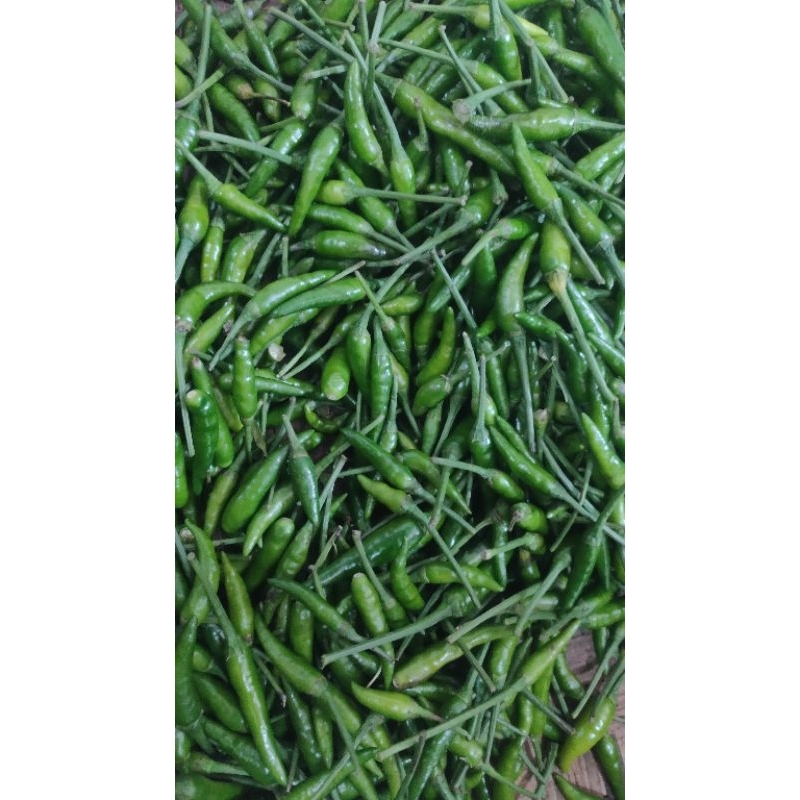 INSTAN cabe acar ijo cabe ijo cabe kecil ijo cabe keriting merah cabe merah cabe merah kriting