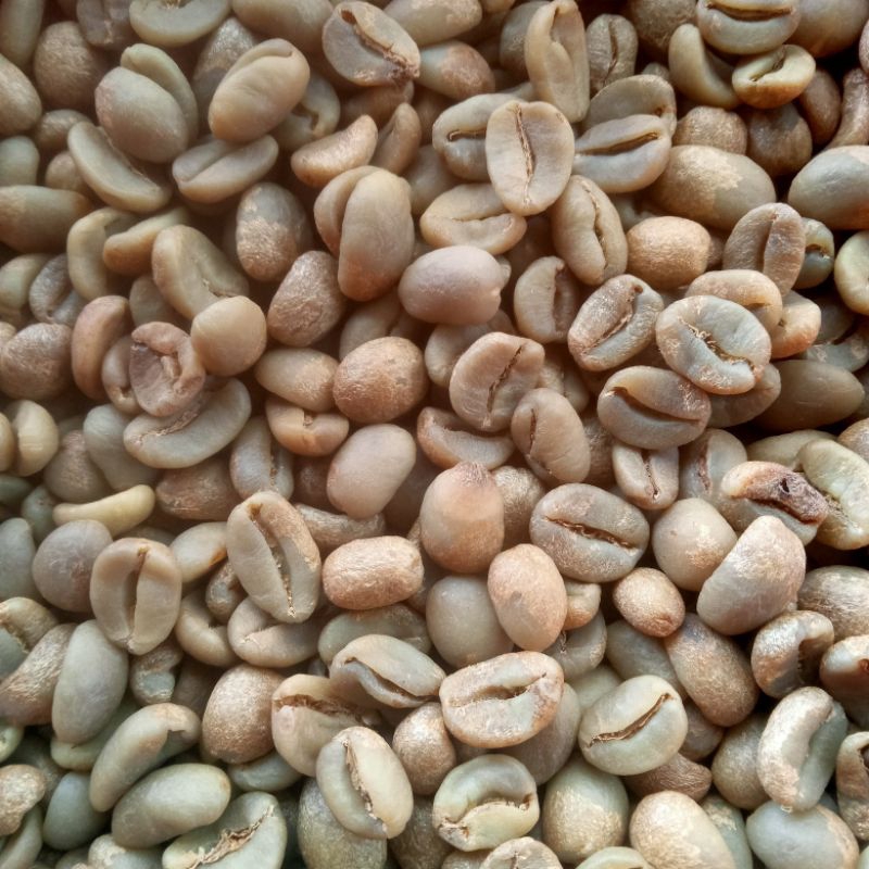 

BIJI KOPI ARABICA/GREENBEAN ARABICA HONEY PREMIUM SEPCIALTY