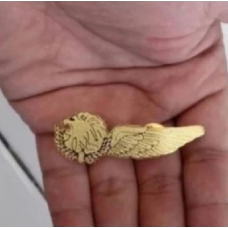 wings Lion Air