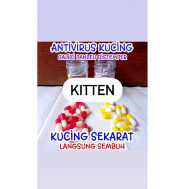 KAPSUL AJAIB ORIGINAL MONMONOKO / OBAT VIRUS KUCING CALICI PANLEU FIP DISTEMPER