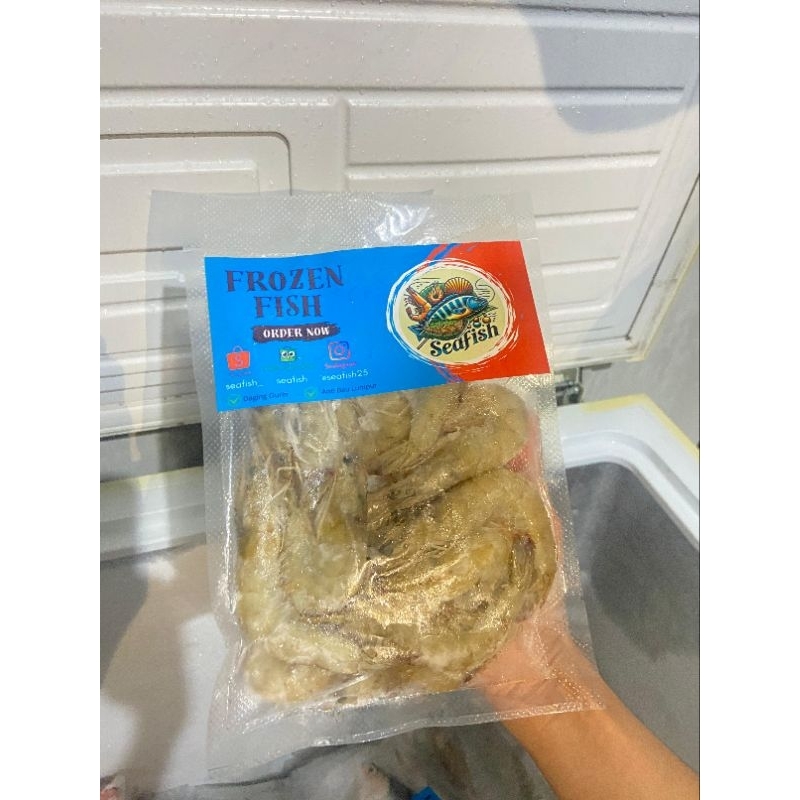 

Udang Premium Quality