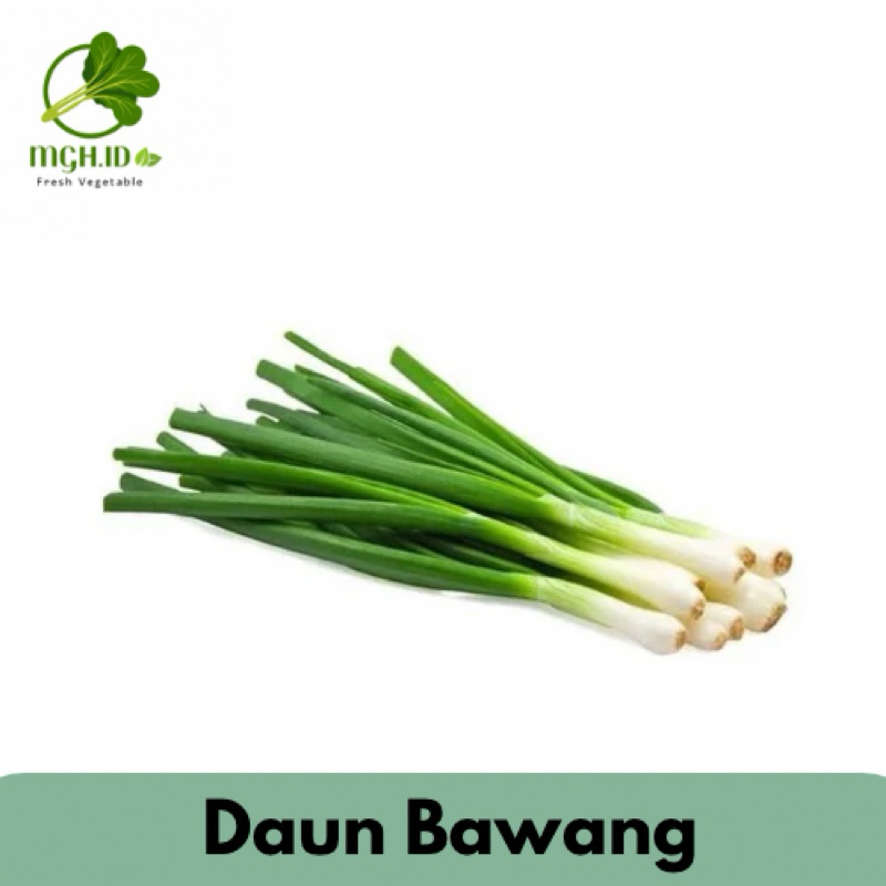 

KIRIM INSTAN Daun Bawang 100gr