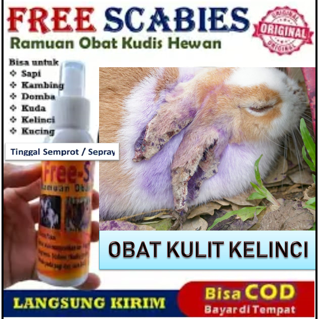 Obat Gudik atau Borok Kelinci tinggal semprot