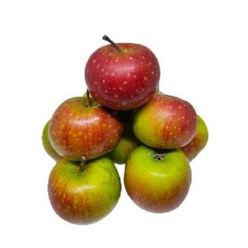 Buah Apel Malang Fresh/Apel Malang 1kg