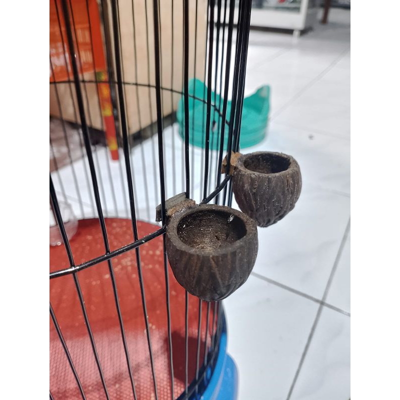 CEPUK TEMPAT PAKAN DAN MINUM BURUNG PLECI KONIN
