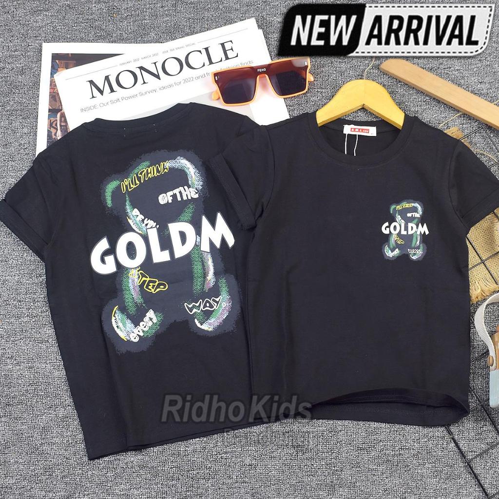 2 - 12 TAHUN KAOS OBLONG IMPORT ANAK LAKI LAKI TERBARU ATASAN KAOS ANAK LAKI LAKI COWOK BAJU KAOS AN