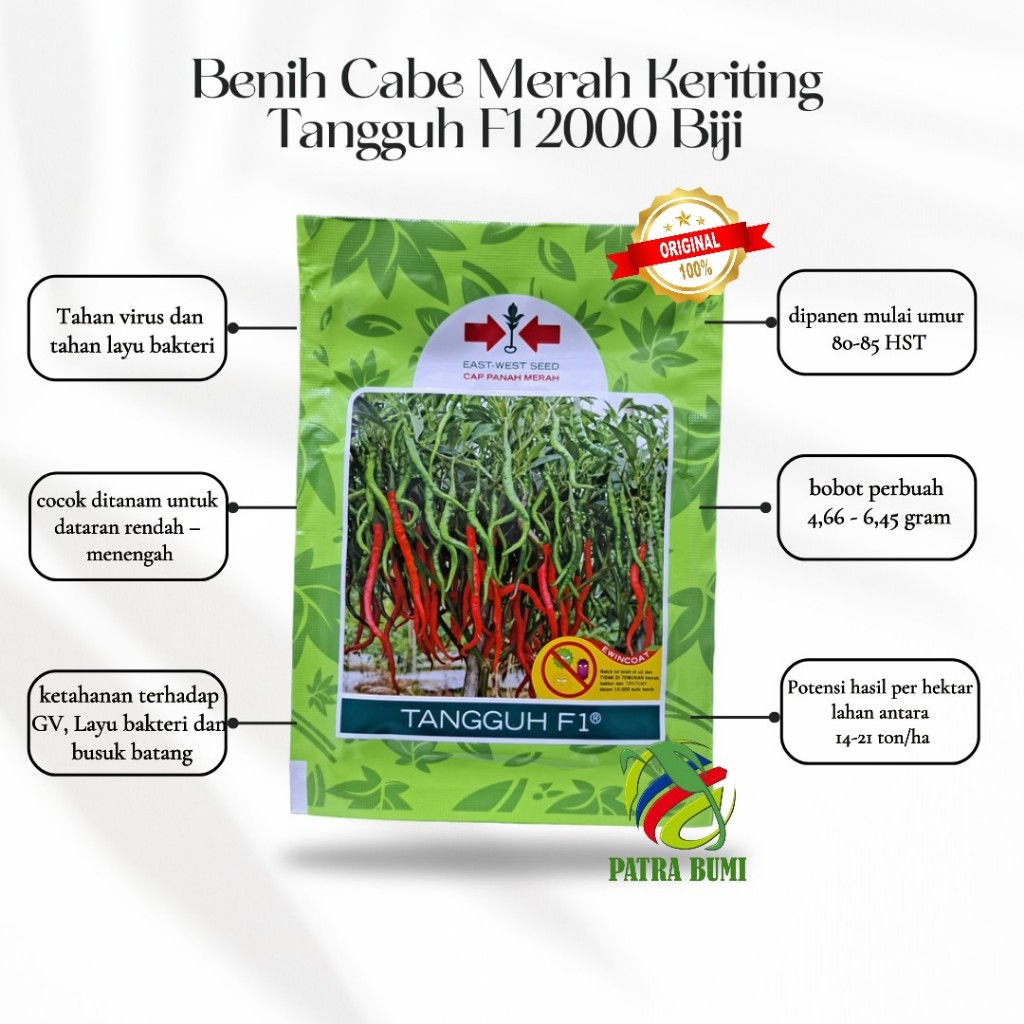 BENIH CABE MERAH KERITING TANGGUH F1 2000 BIJI CAP PANAH MERAH