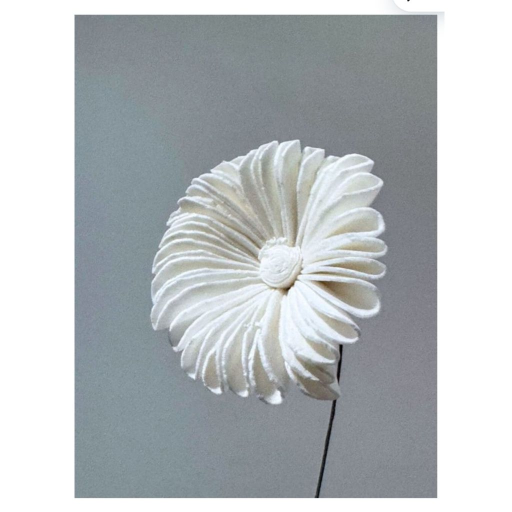 Fresia Flowers/Bunga sola/ Sola Flower/ Bunga Fresia/Sola fresia/ Bunga sola wood/ Sola flower bouqu