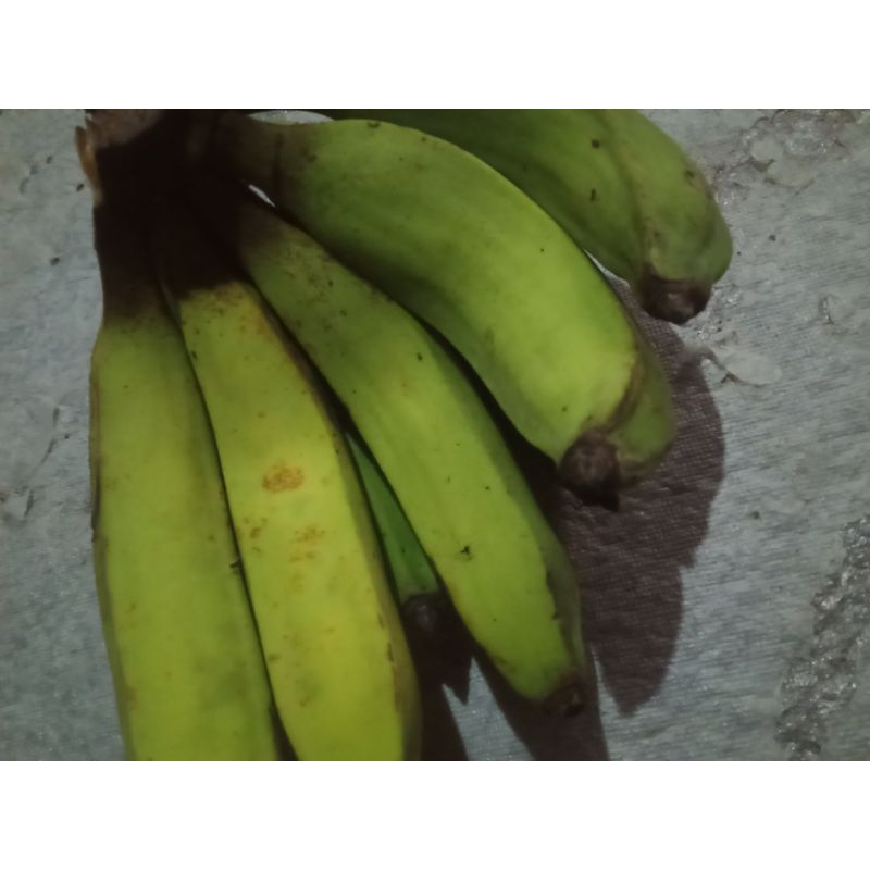 

Pisang Kapas matang/Bahan Pisang Goreng 1kg