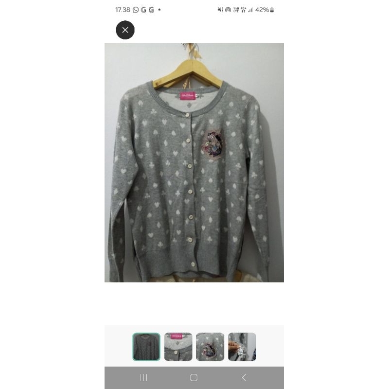 Cardigan Disney Resort