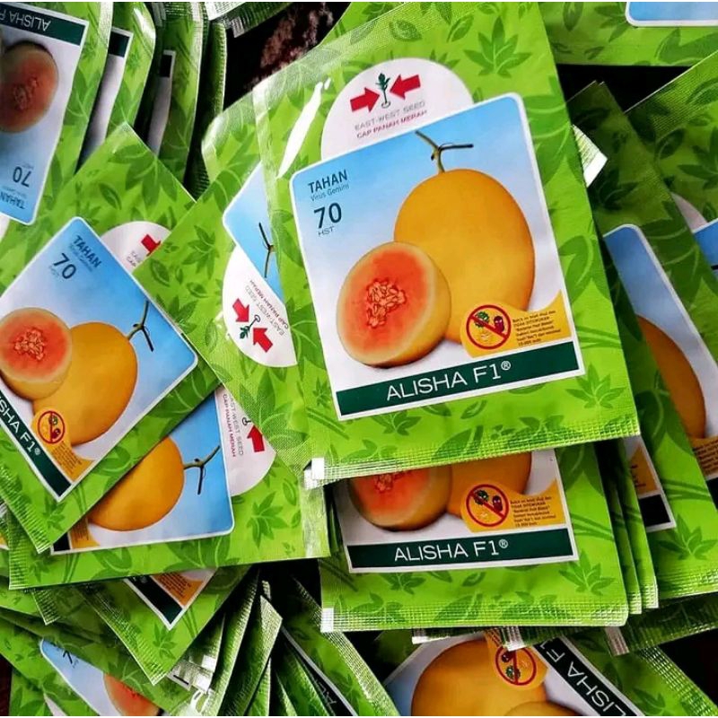 Melon Golden Alisha F1 25 gram / 400 butir