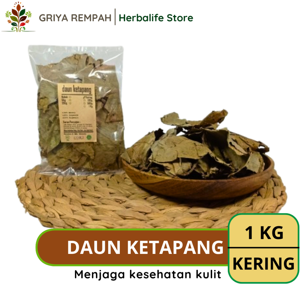 

DAUN KETAPANG KERING 1 KG Kalis Rempah Herbal Simplisia Alami Premium untuk Ramuan Jamu Tradisional & Kesehatan Terminalia catappa
