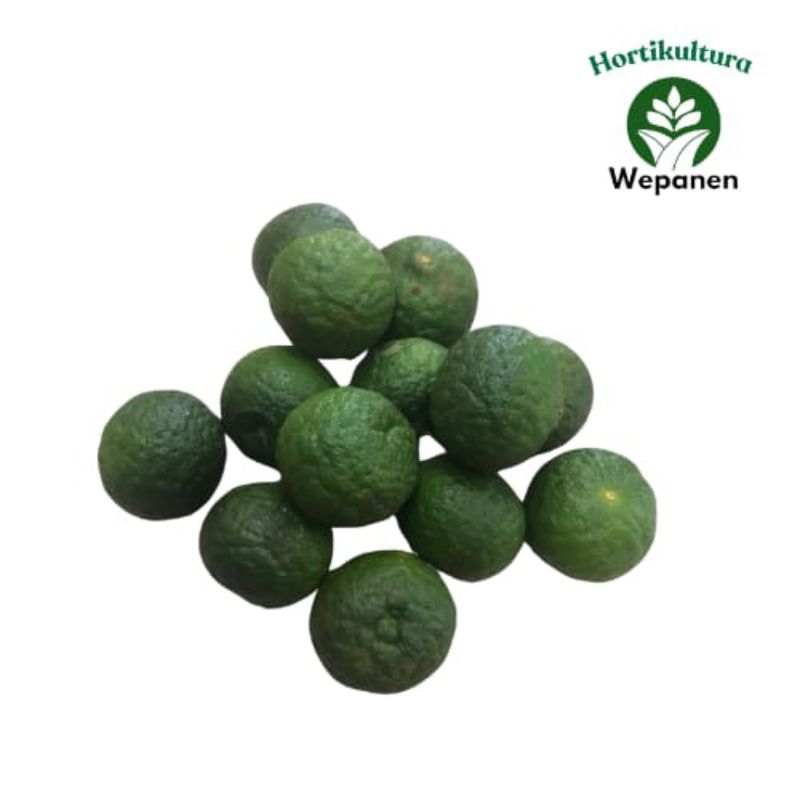 

Jeruk Limo Jeruk Sambal 500gr
