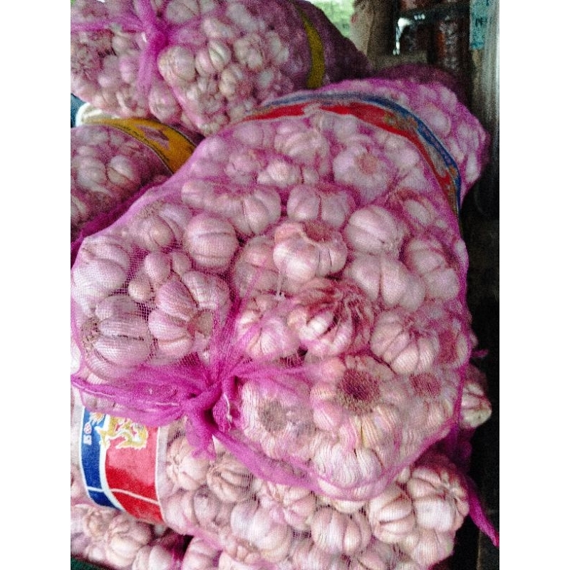 

bawang putih honan karungan 20 kg