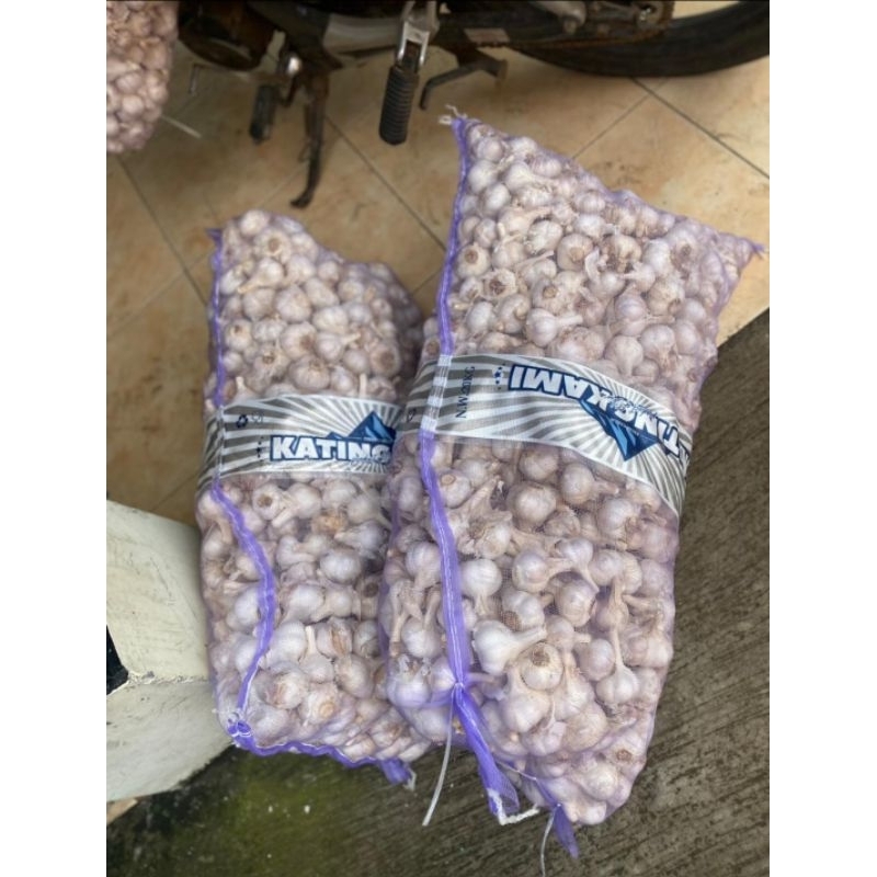 

Bawang Putih Kating