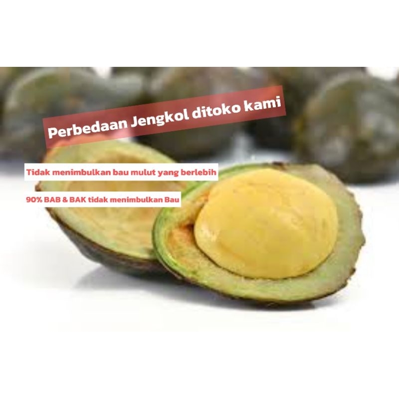 

Jengkol Muda 1Kg Kulit