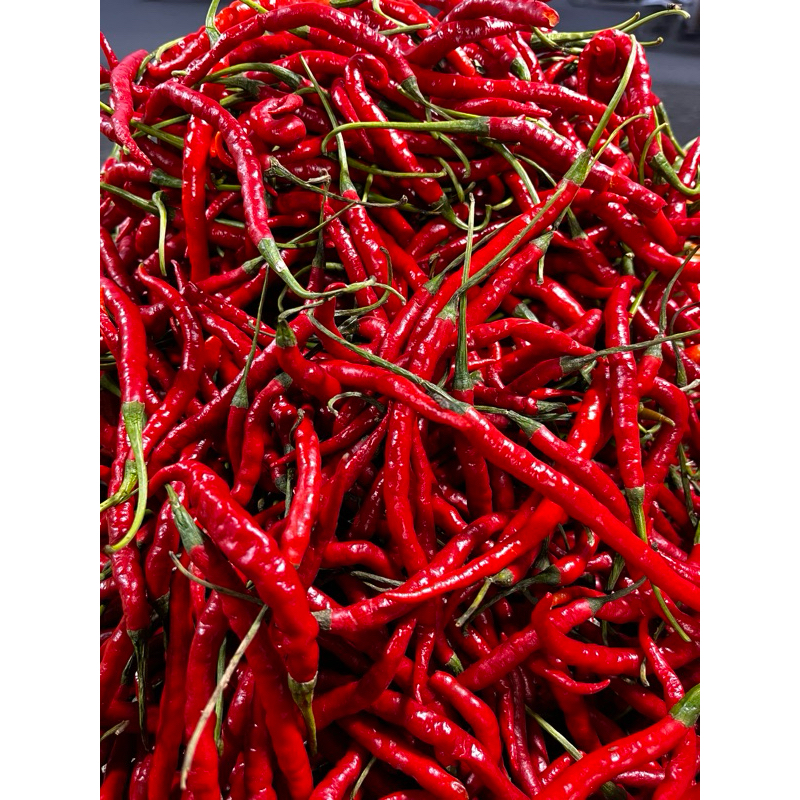

cabai merah 1/4 kg