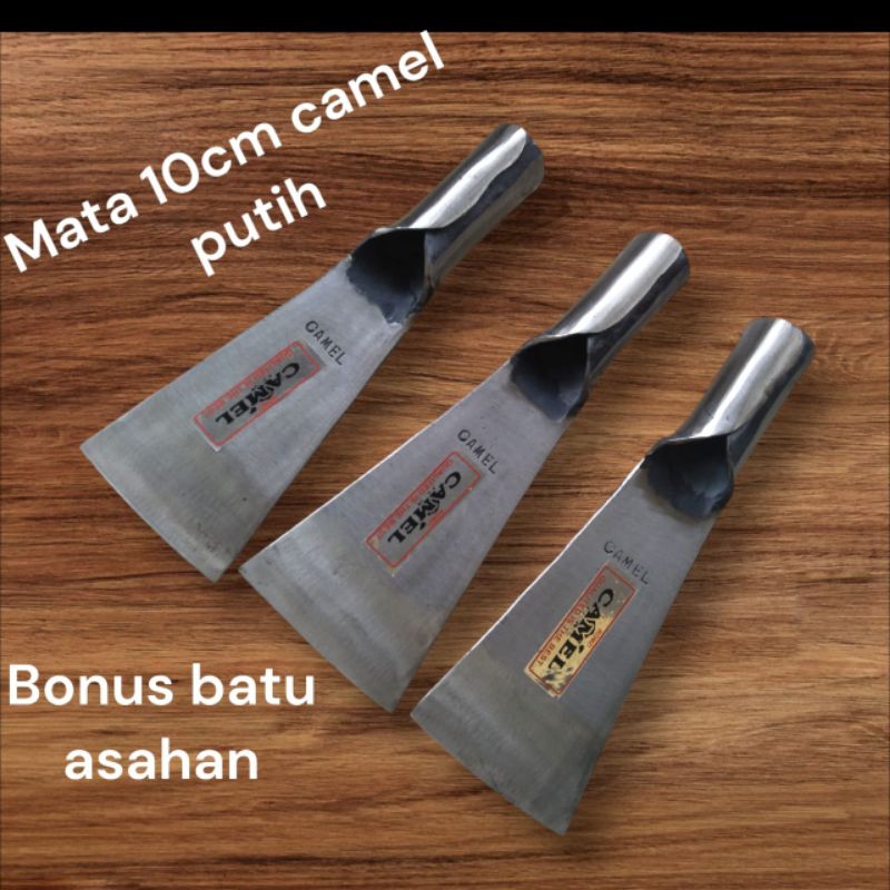 Dodos Camel malaysia