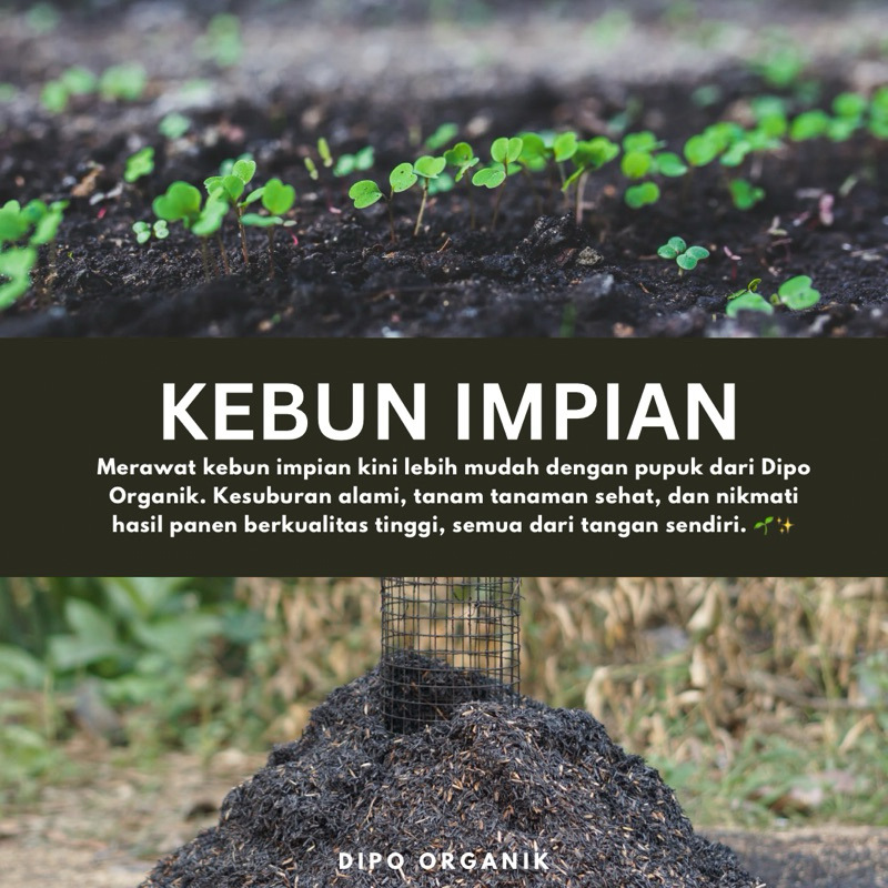 Sekam Bakar/Sekam Bakar 10 kg/Sekam Bakar Murah/Sekam Bakar Bagus/Dipo Organik