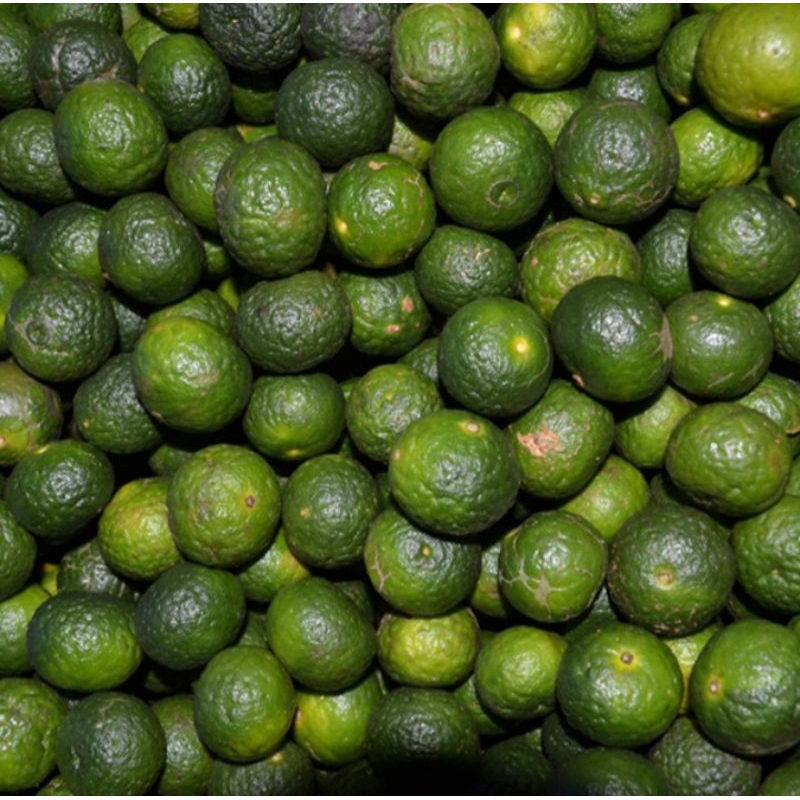 

Jeruk limo Jeruk sambel Jeruk limau fresh 1kg ukuran sedang (BISA COD)