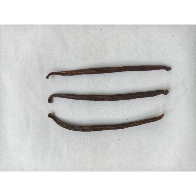 

Vanili Murah / Vanilla Murah / Murah Meriah